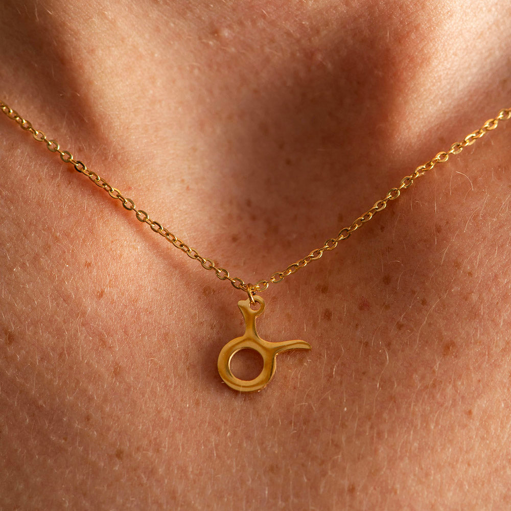 Zodiac Symbol Gold Coated Necklace